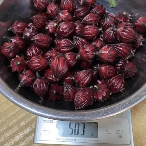 500g