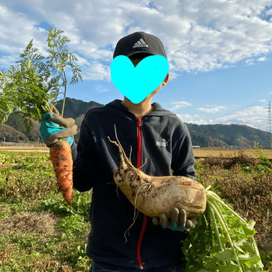 農薬肥料不使用の大根と人参収穫しました