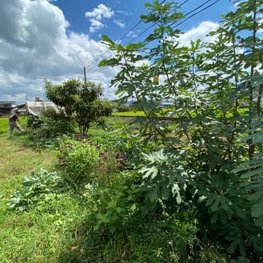ショックなことが起きました。