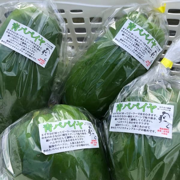1個あたり0.5〜1.0kg