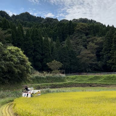 【重要】送料変更のお知らせ