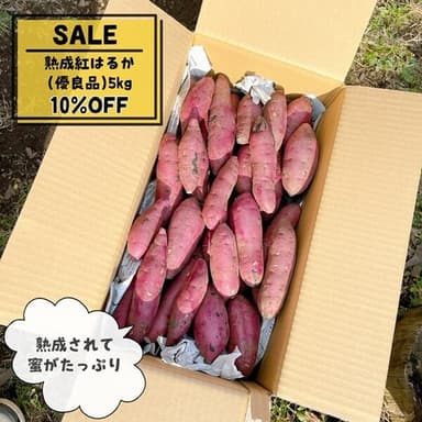 ●熟成紅はるか 優良品5KG ● SALE開催中●