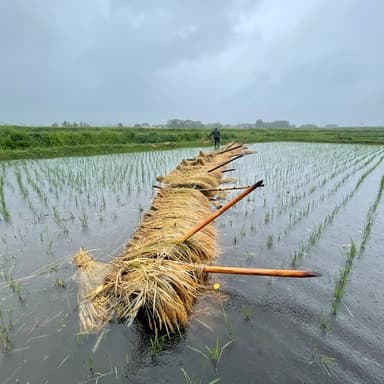 台風14号