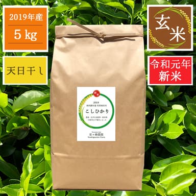 令和元年産 【天日干しコシヒカリ】の販売を始めました