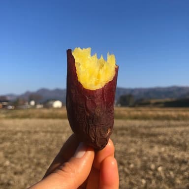 ●星ヶ峰農園の熟成紅はるか●完売御礼●