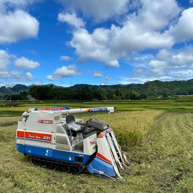 🌾星ヶ峰農園のこしひかり・湧水こしひかり🌾