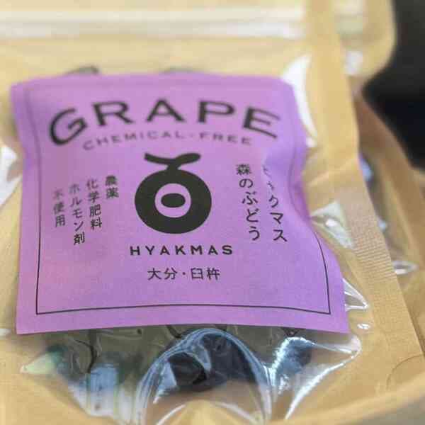 ピオーネ 40g
