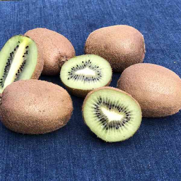 Lサイズ 1玉100g~120g <ヘイワード>9玉