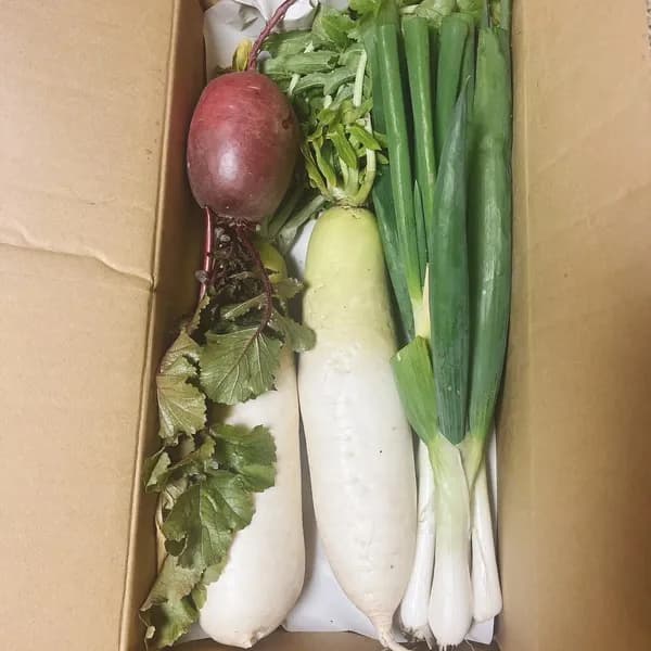 大根2本以上、ねぎ5本以上(化学肥料、農薬不使用)ねぎは細めですがお味は最高‼︎