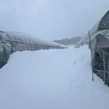 氷点下の除雪作業