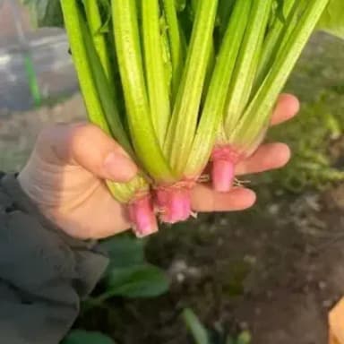 美味しいと感じるのは、身体が必要としているから?