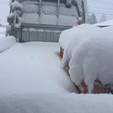 雪!!!!!!