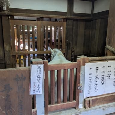 皆様、新年あけましておめでとうございます