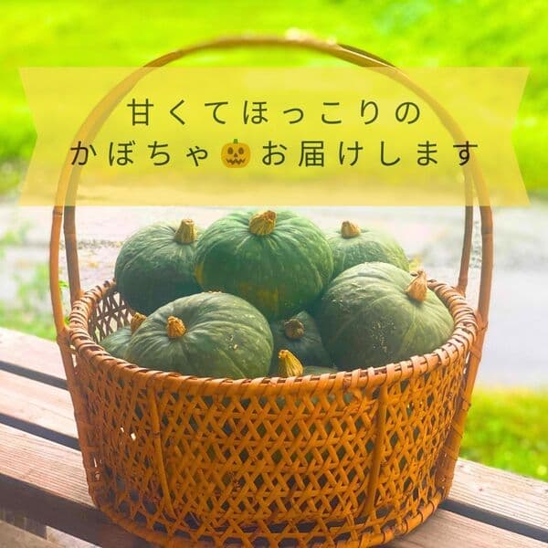 8~10個入り