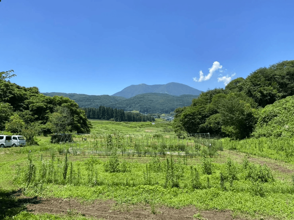 くろやなぎ農園メイン画像