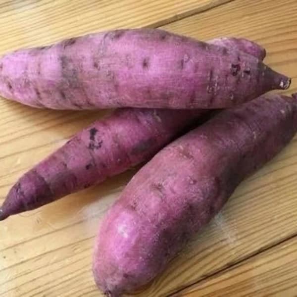 紅はるか2kg(S〜Lサイズ混合)
