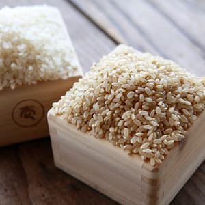令和5年度産/有機JAS認定 うるち玄米(森のくまさん)