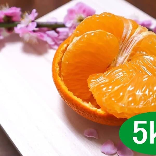 【5kg】等級混合・サイズ混合(小玉を除く)