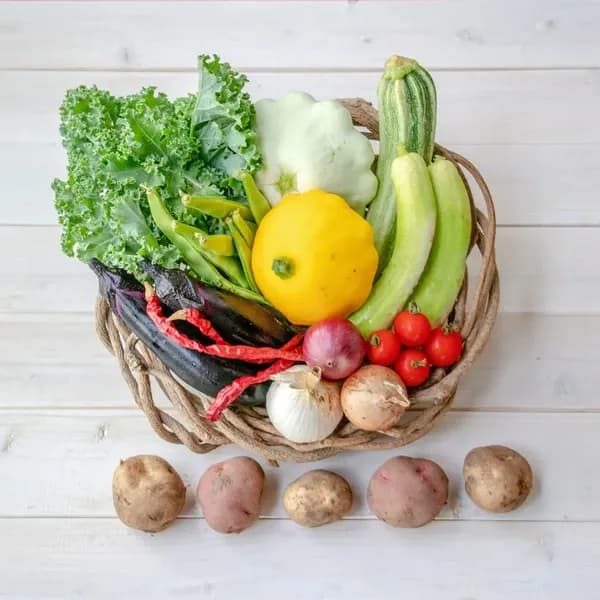 【初回限定!!とても希少な自然栽培&固定種野菜のみ】自然と一緒に育てた旬の野菜セット5種類