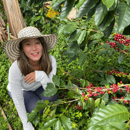 Mariposa Coffeeプロフィール画像
