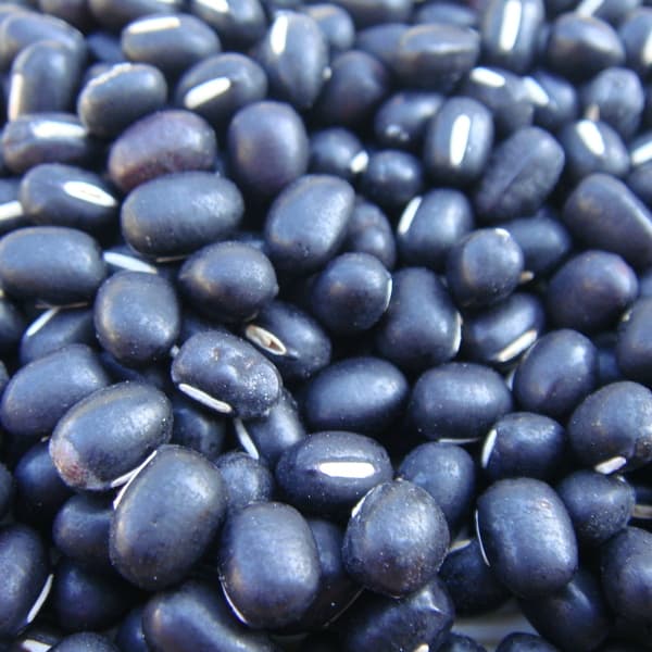 黒小豆