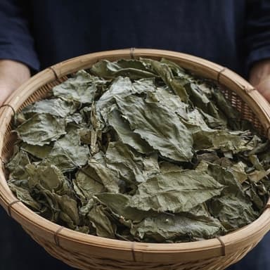 杜仲茶の商品ページ更新しました。