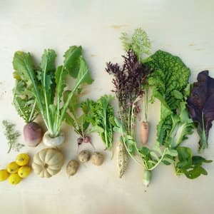 季節のおまかせ野菜・果物セットL