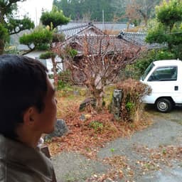 森の菜園