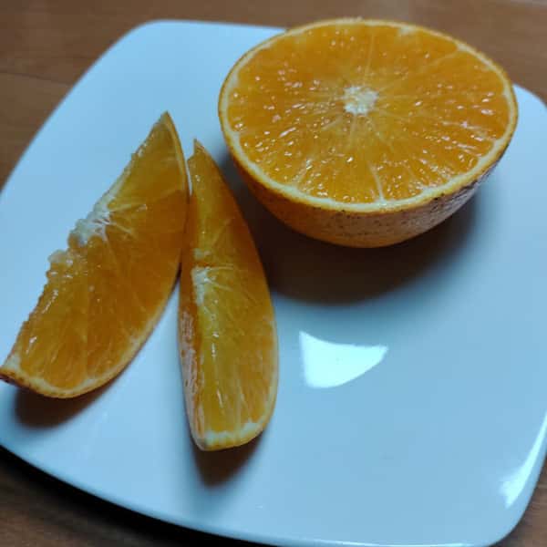 愛媛果試28号 自然栽培(農薬不使用・化学肥料不使用・除草剤不使用)