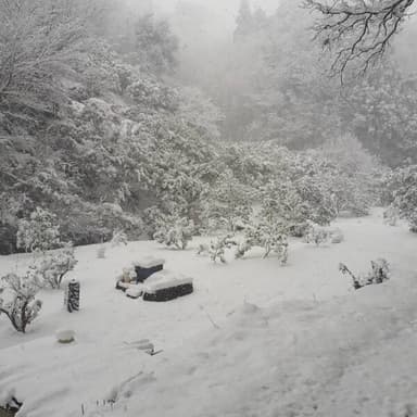 大雪の影響について