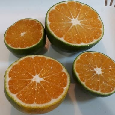 もう少しです(*´▽`*)