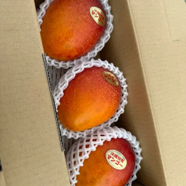ご家庭用1kg