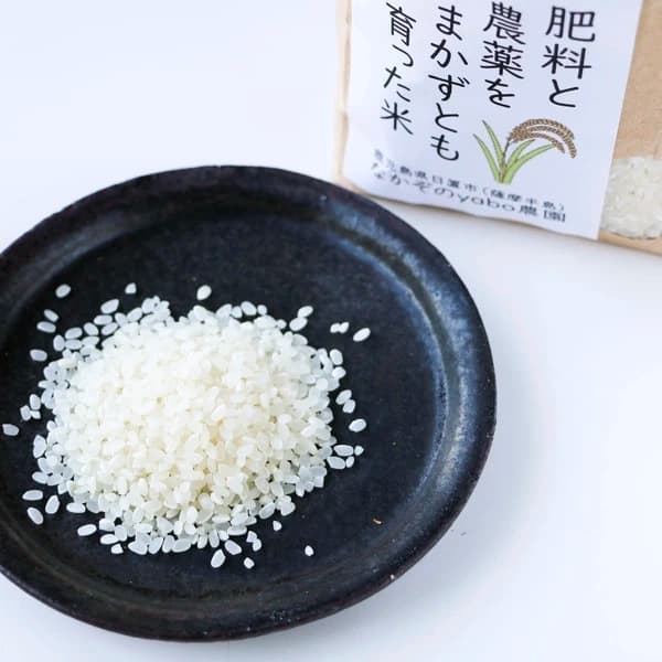Sサイズ(1kg)
