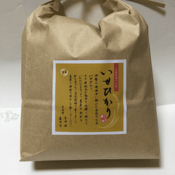 玄米10kg【5kg袋×2】