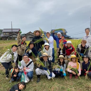 稲刈り体験会