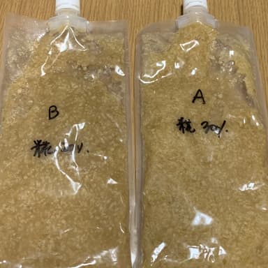 無農薬玉ねぎ糀