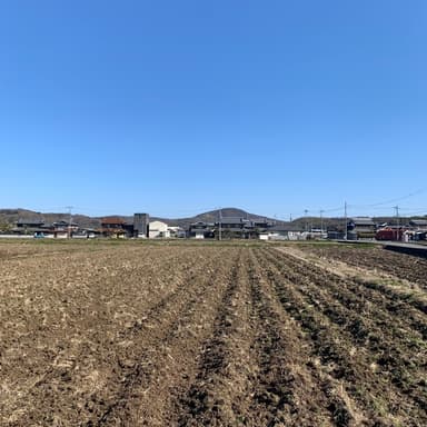 天地返しと緑肥