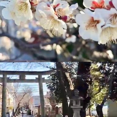 弓弦羽神社