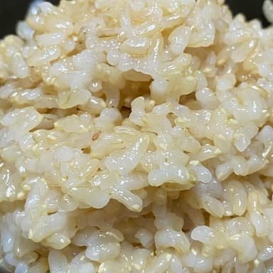 いせひかり販売開始しましたm(_ _)m
