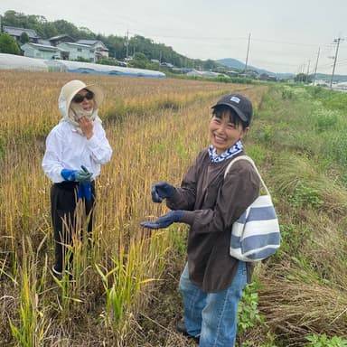 収穫間近の