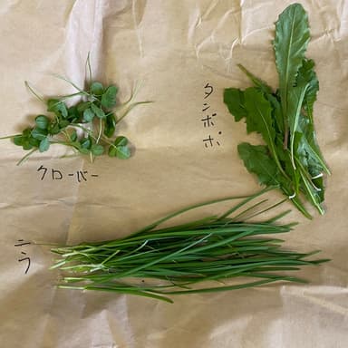 野草会にとんど祭り
