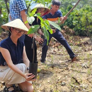 ダムロンの大地にも、オーガニックカカオの芽が育つ