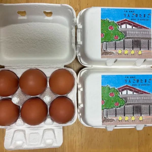 Lサイズ6個入りパック
