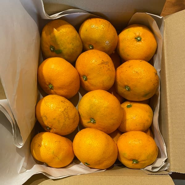 サイズ混合2kg