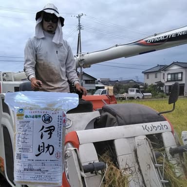 コシヒカリ伊助10年連続残留農薬ゼロへチャレンジ
