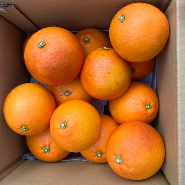 2kg サイズ混合
