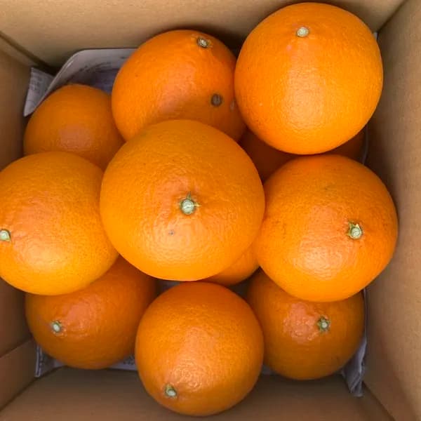 2kg サイズ小さめ混合