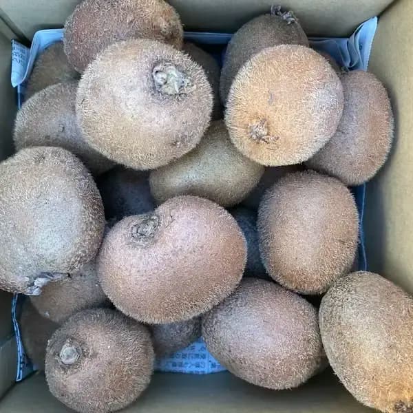 2kg 小さめサイズ混合(1個あたり平均100g程度)