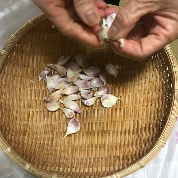 鱗片 200g