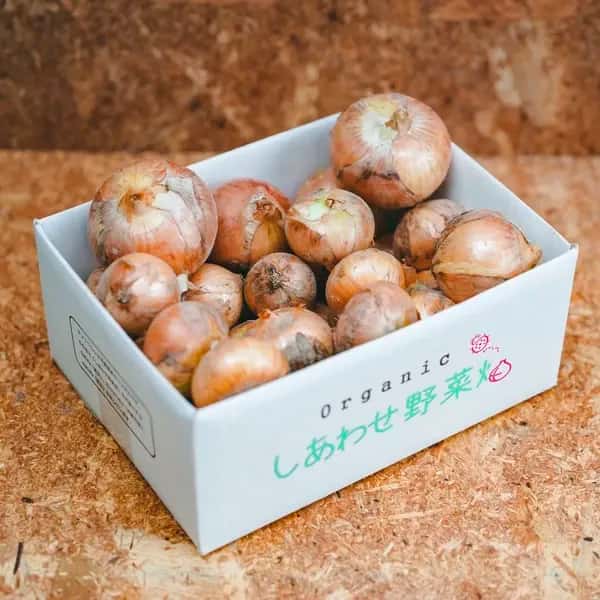 <有機たまねぎ 3kg>農薬化学肥料不使用・静岡県産